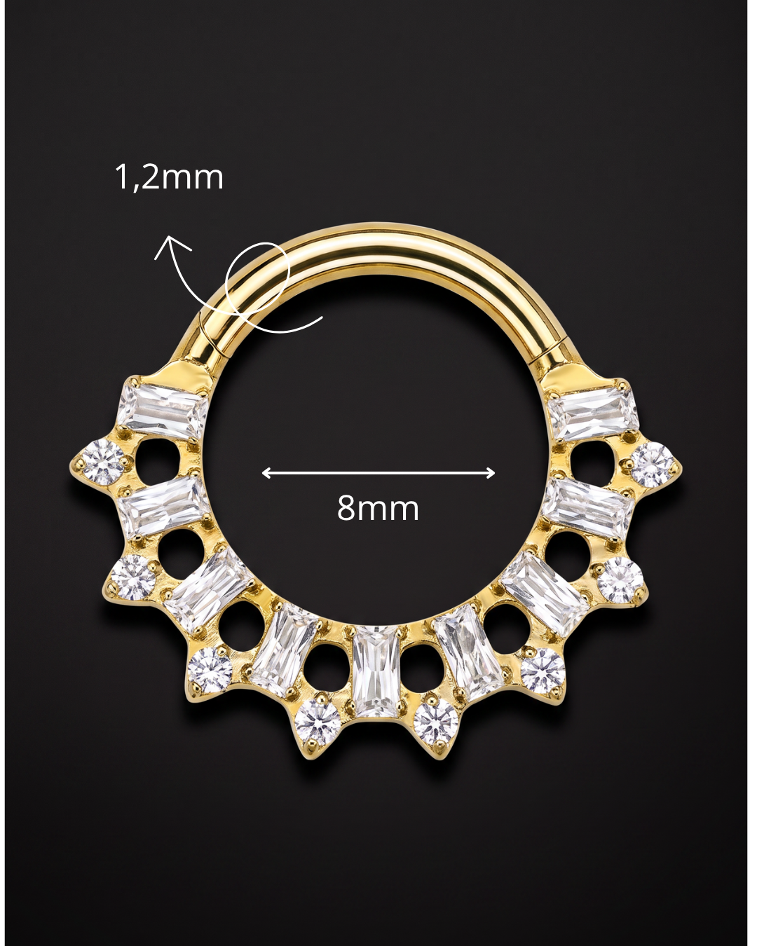 MICHELLE - Septum Titane ASTM F136