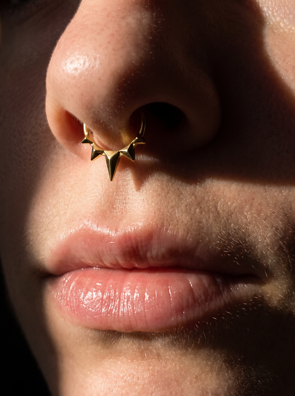DONATELLA - Septum Titane ASTM F136