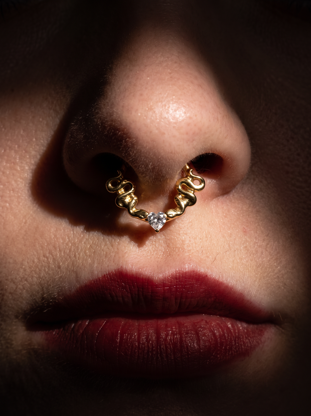 OLERA - Septum Titane ASTM F136